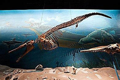 《拳皇15》PS5标准版468港币 中文官网上线